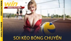 Kèo bóng chuyền